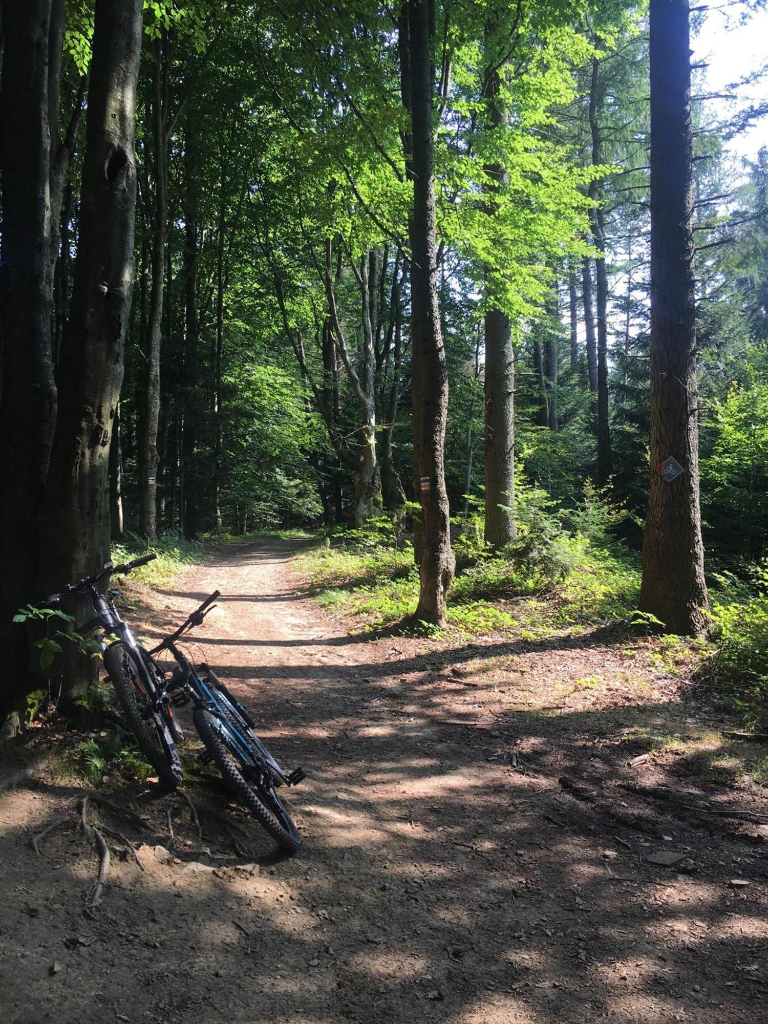 Blachutowka Villa Krynica Zdroj Dış mekan fotoğraf